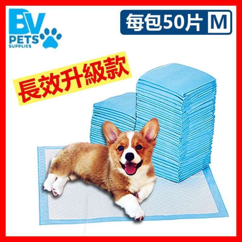 corgi diapers