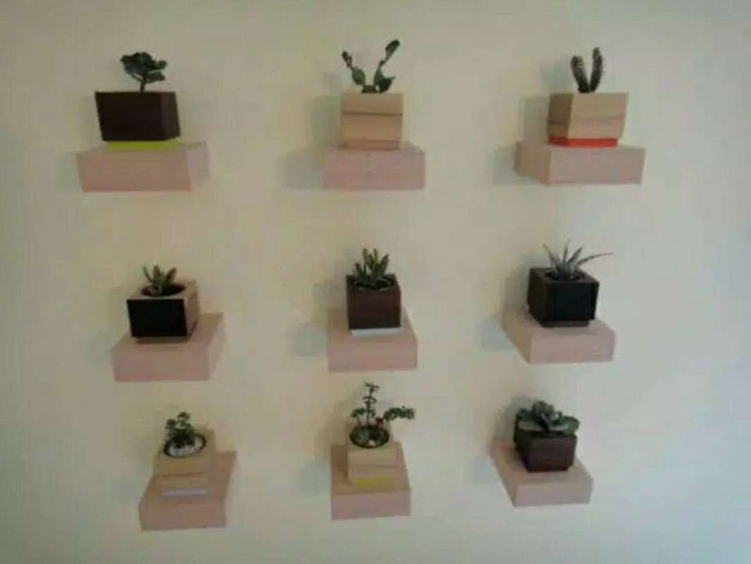 Rak Kaktus Unik / Jual Rak Pot Unik Cactus Panjang Isi 3 Pot Di Lapak Genic Artducation Bukalapak / Kamu yang memiliki banyak tumpukan kardus bekas di rumah, jangan keburu membuangnya ya.