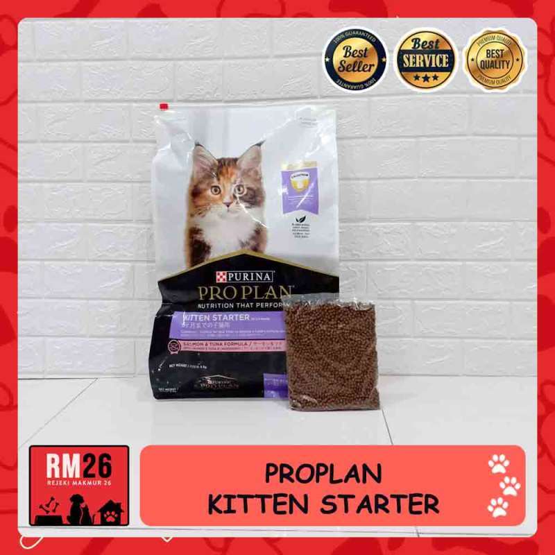Harga pro sales plan kitten repack