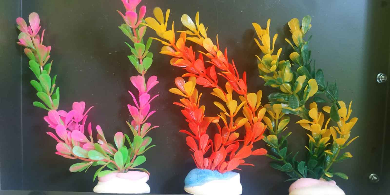 960+ Dekorasi Aquarium Hias Gratis