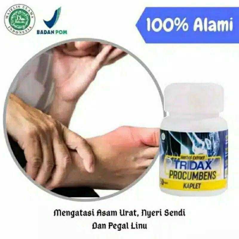 Jual TRIDAX PROCUMBENS Obat Asam urat, rematik Reumatik ...