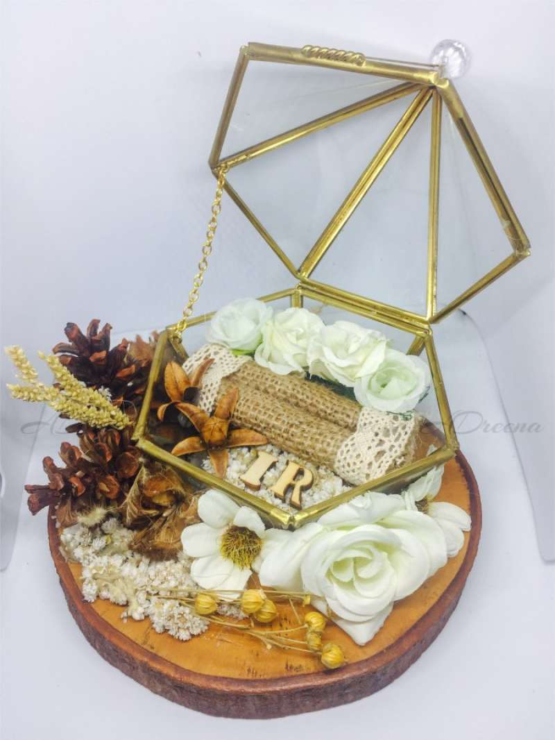 Terrarium ring hot sale box