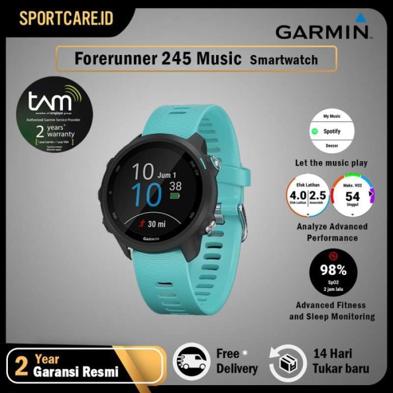Garmin 245 for sale Clearance