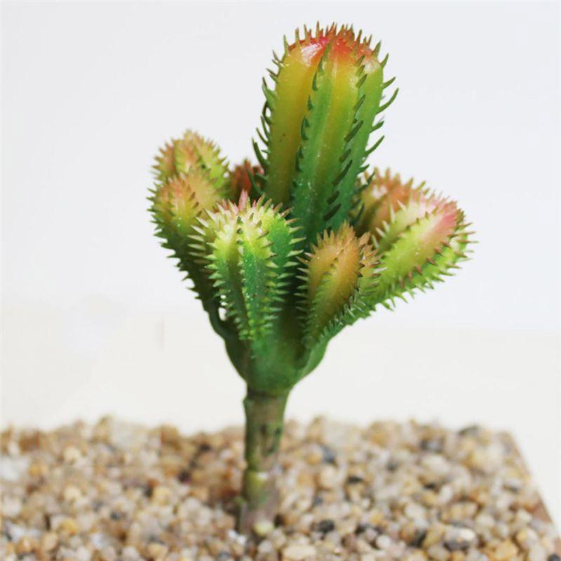 Jual Bluelans Cactus Garden Lifelike Home Room Bonsai Decoration Artificial Plant 1pc Online Agustus 2020 Blibli Com,Homemade Anniversary Decoration Ideas For Husband At Home