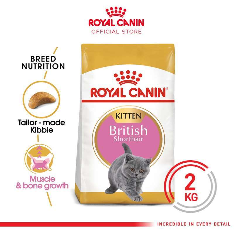 Royal canin sales british shorthair junior