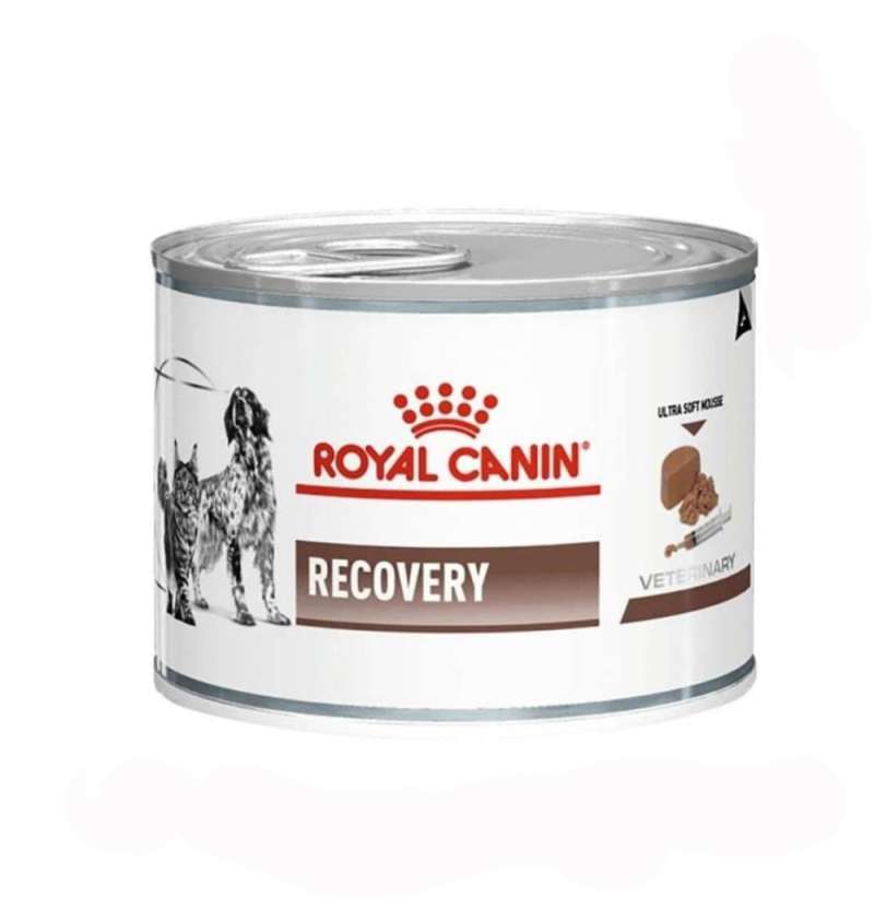 Kandungan royal online canin recovery