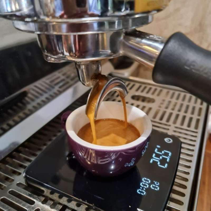 Jual LATINA Einstein Espresso Drip 