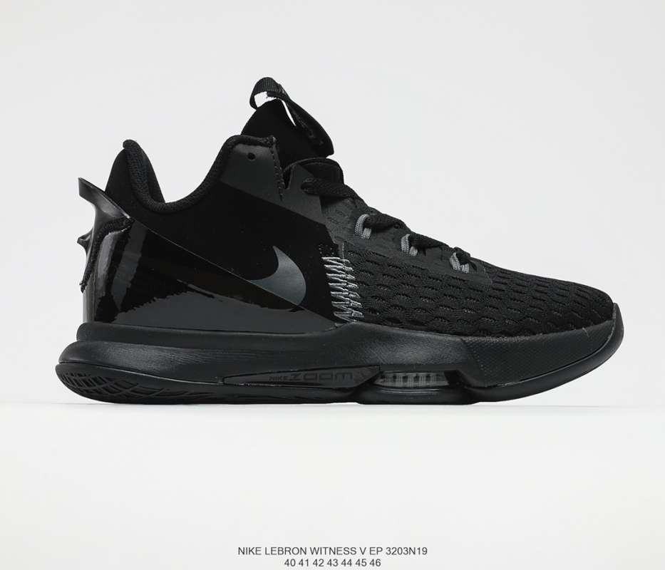 lebron james 5 shoe