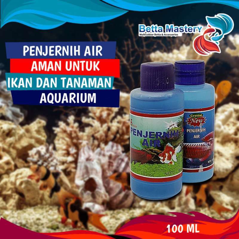 menjernihkan air aquascape