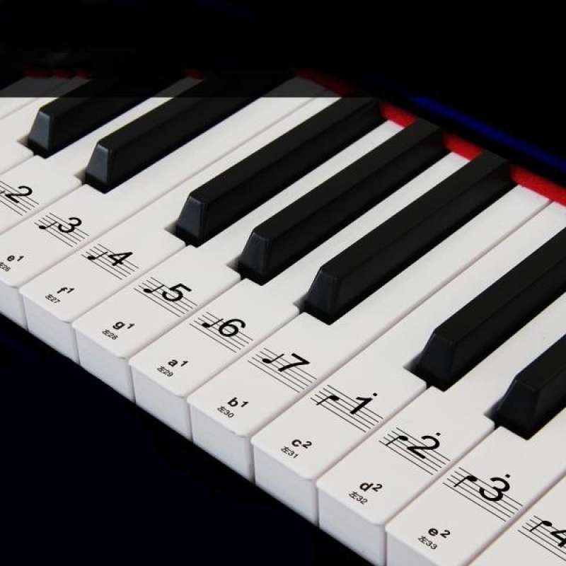 Stiker Label Decal Motif 88 Nada Musik untuk Piano/Keyboard Elektrik FREE  ONGKIR