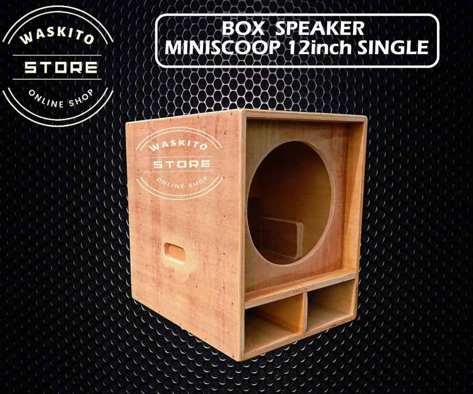 Box best sale speaker 12inc