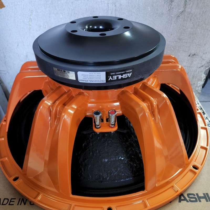Subwoofer hotsell ashley 18