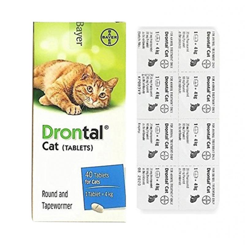 Drontal untuk kitten 2025