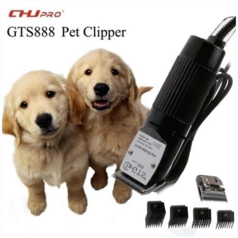 Gts online 888 clippers
