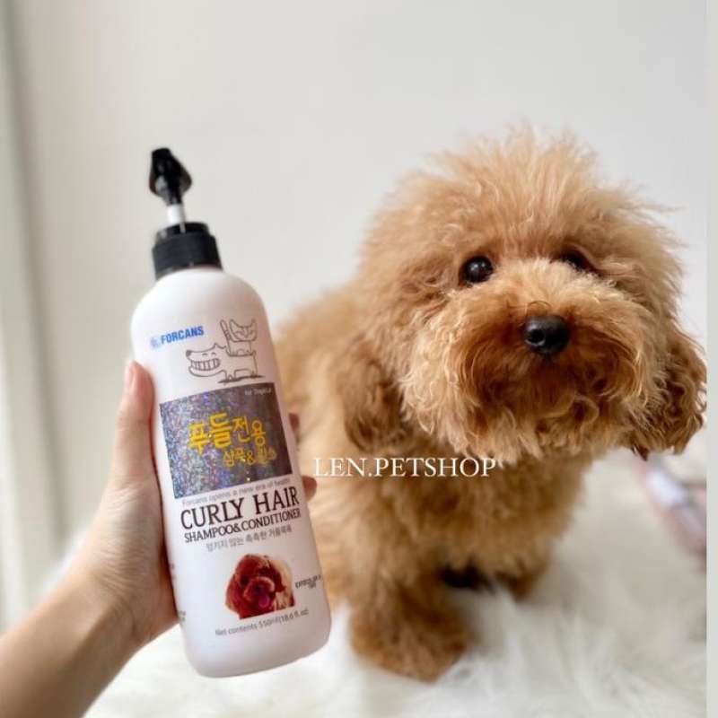 Shampoo best sale anjing poodle