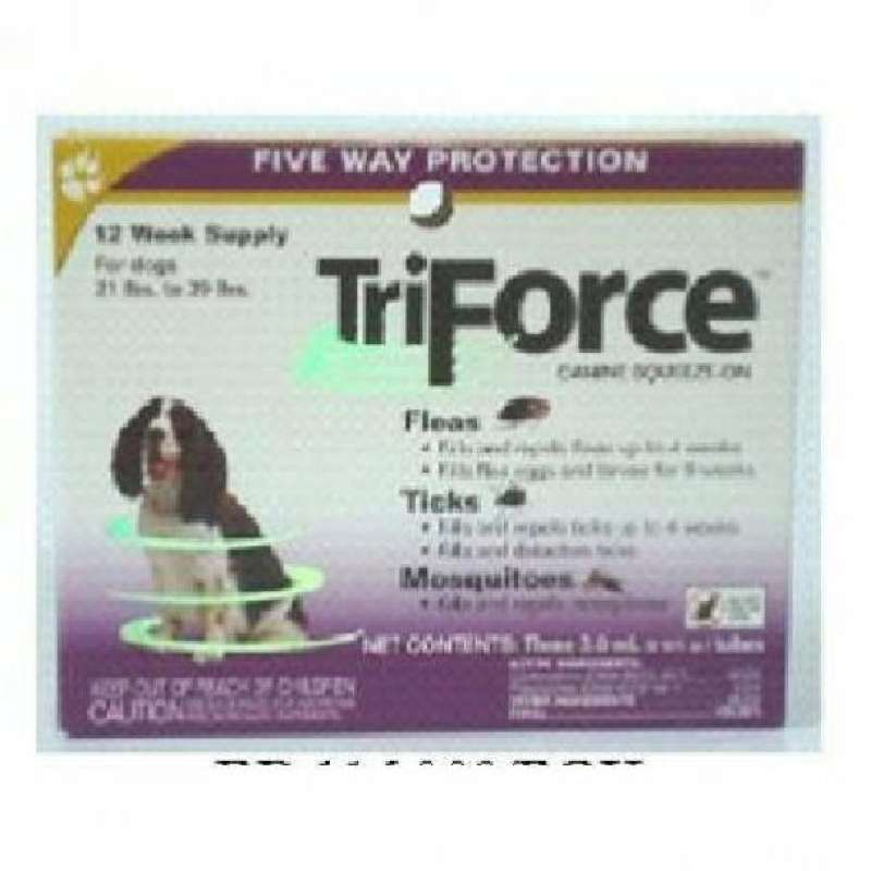 Triforce dog collar online