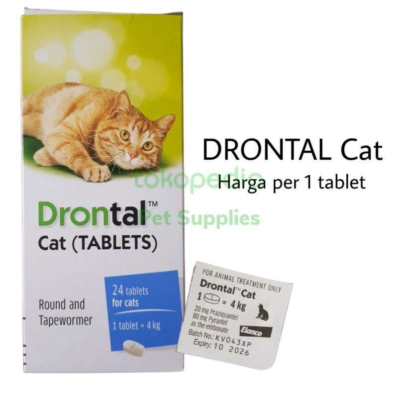 cat eye pink glasses