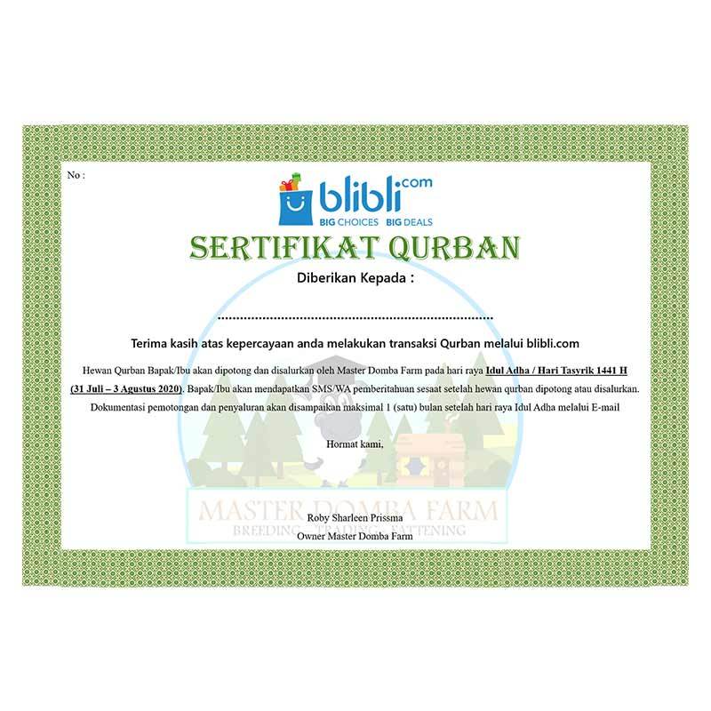 Jual Master Domba Farm Hewan Qurban Domba Bobot 25 35 Kg Online September 2020 Blibli Com