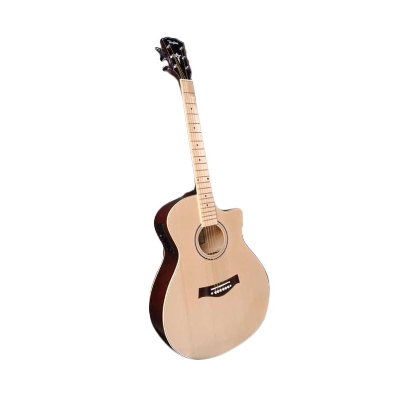 Gitar taylor 2024