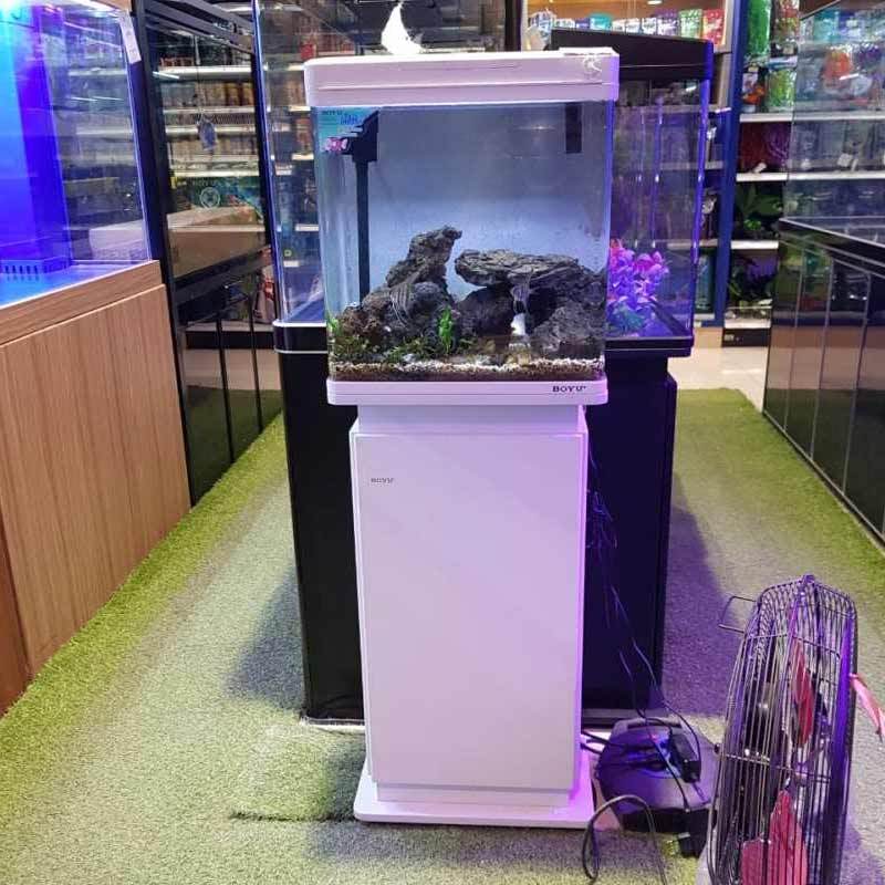 Aquarium Store Near Me Nj