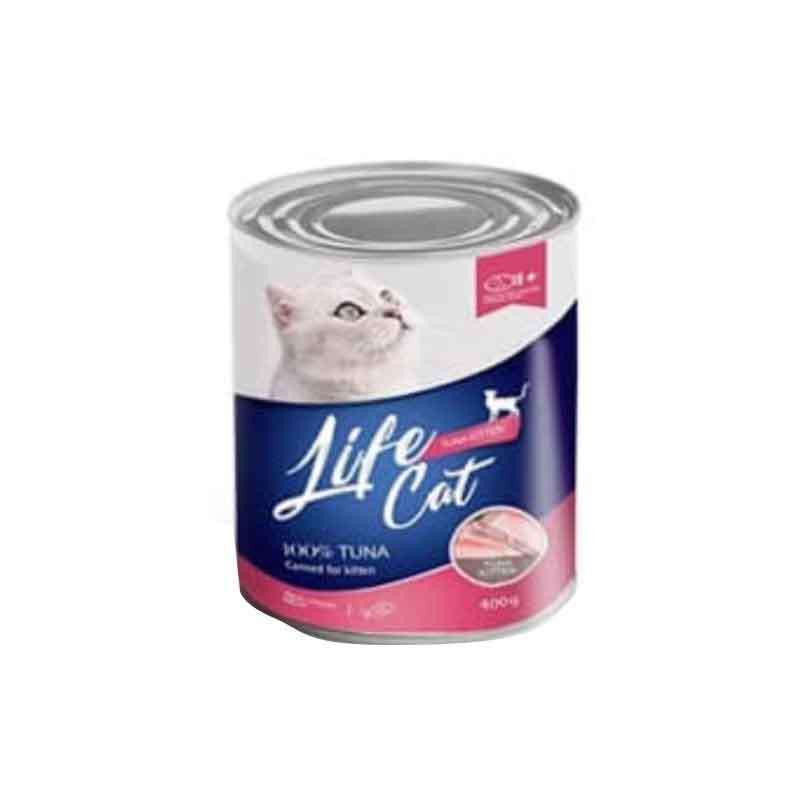 Wet food yang bagus untuk kitten clearance
