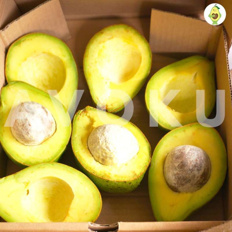 Jual Avoku Alpukat Mentega Jumbo Online Oktober 2020 Blibli Com