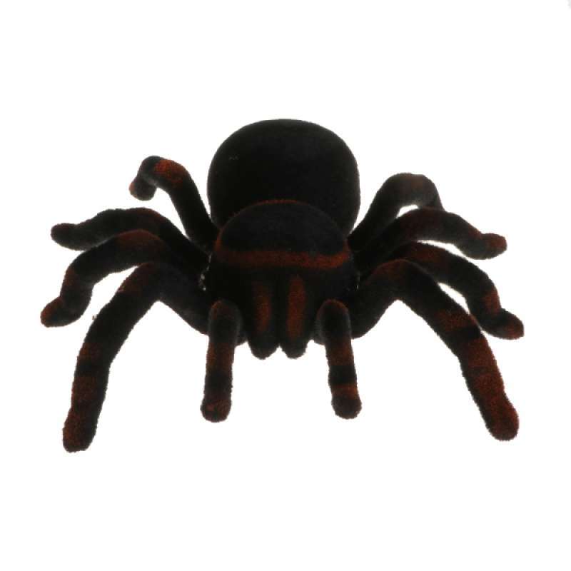 remote tarantula toy