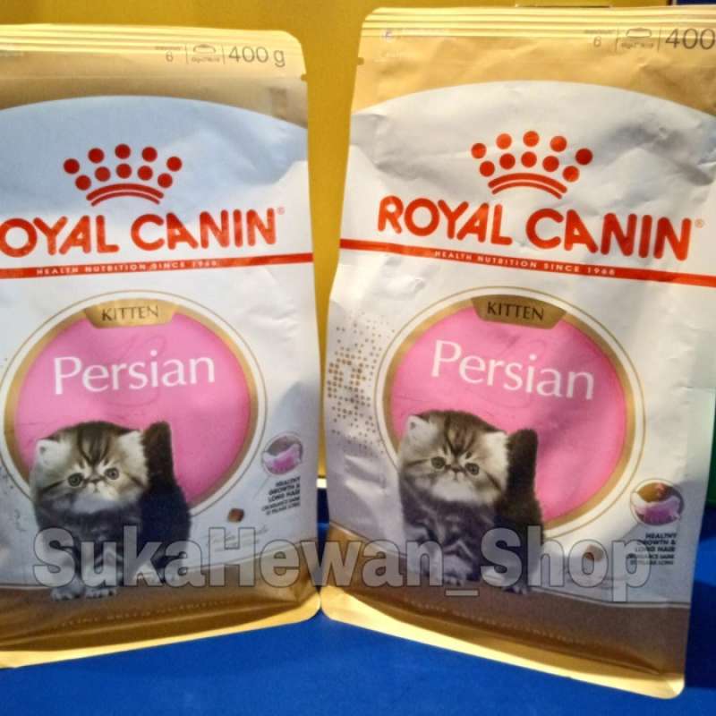 Rc 32 kitten online