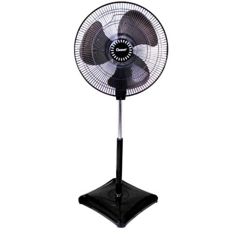 Cosmos 16 inch 2025