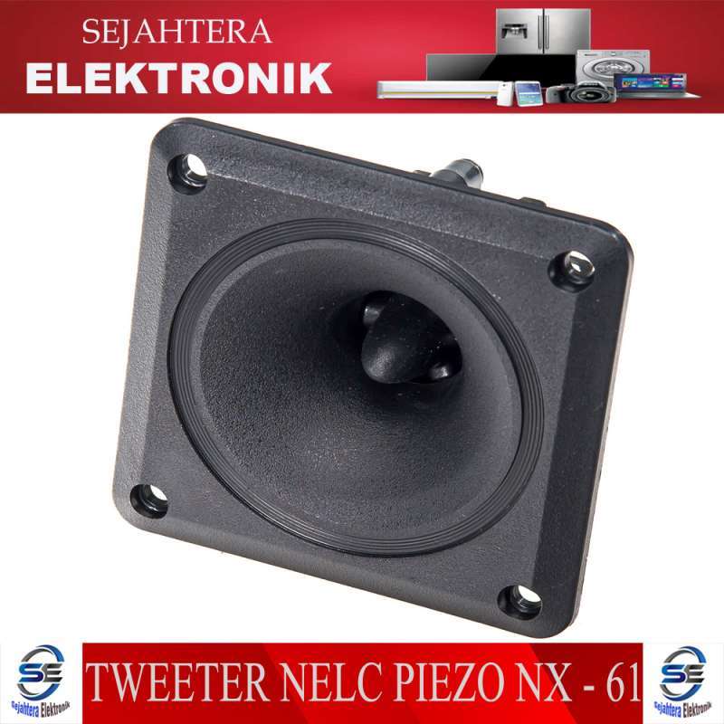 speaker nelc 10 inch