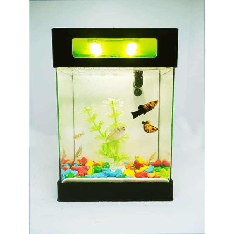 Jual Akuarium Mini Akuarium Cupang Aquarium Mini Aquarium Cupang Online November 2020 Blibli Com