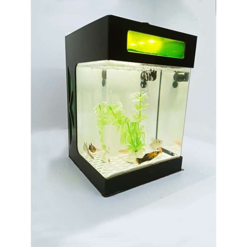 Jual Akuarium Mini Akuarium Cupang Aquarium Mini Aquarium Cupang Online Mei 2021 Blibli