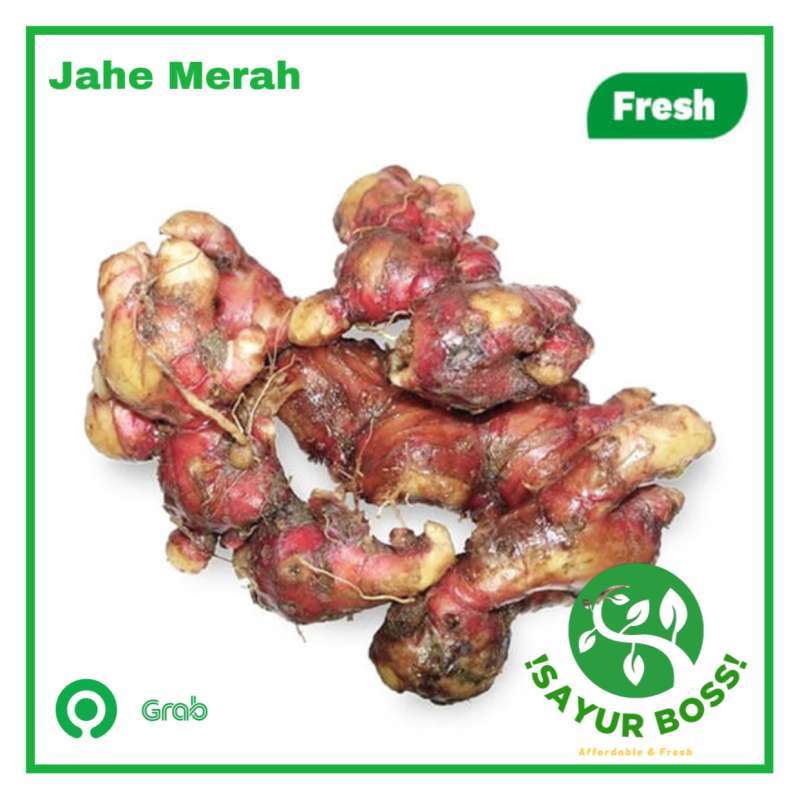 Jual Jahe Merah Super Terbaru Juni 2021 Blibli