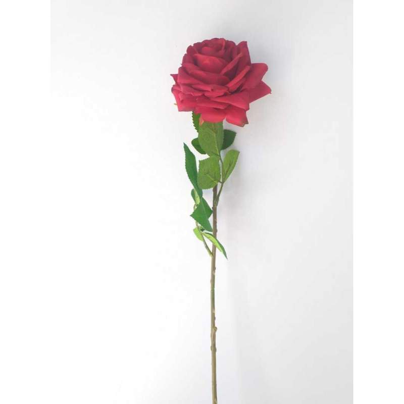 Reminds Me Of The Movie Black Arrow The Families One Of The White Rose And The Other Of The Red Rose Beautiful Guller Guzel Guller Cicek