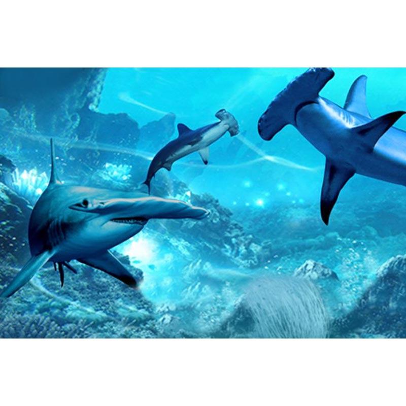 Tiket Masuk Seaworld Ancol E Voucher