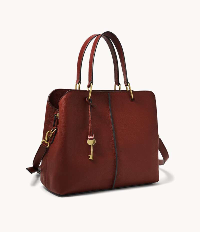 Lane satchel fossil hot sale