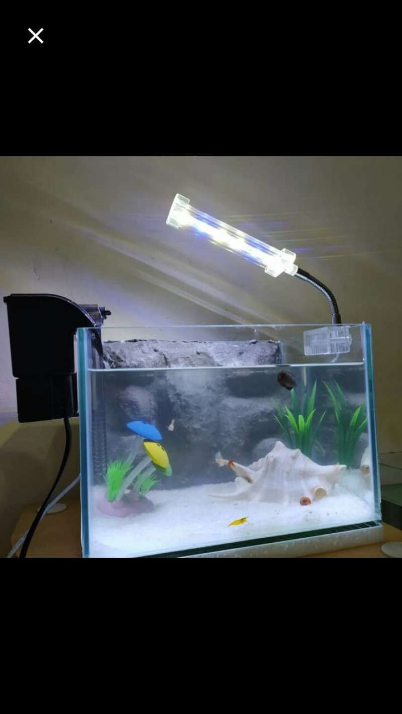 Aquarium Mini 3d Terbaru Agustus 2021 Harga Murah Kualitas Terjamin Blibli Aquarium bending recent 107