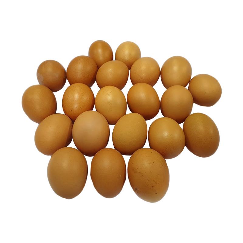 Jual Duta Buah Pusat Telur Ayam Negeri 900g 1 Kg Murah Agustus 2020 Blibli Com