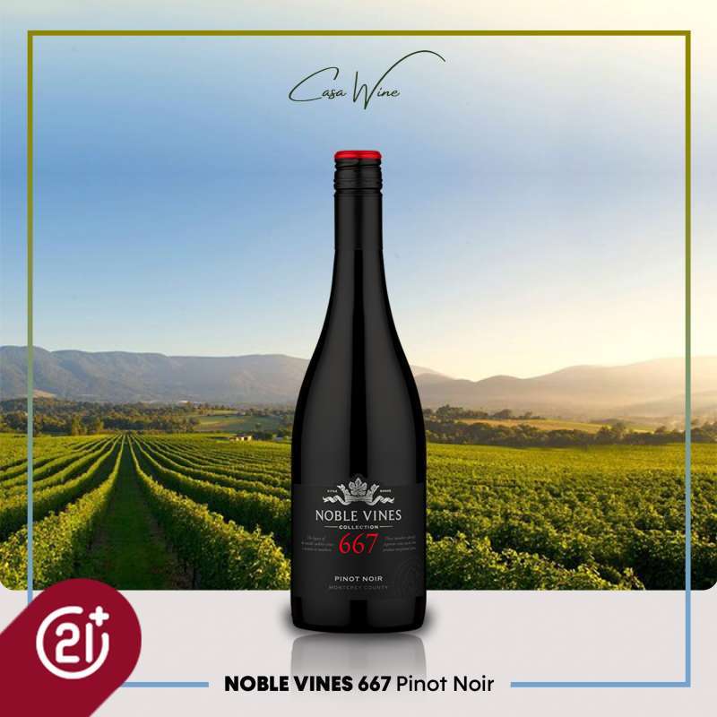 Noble vines pinot on sale noir