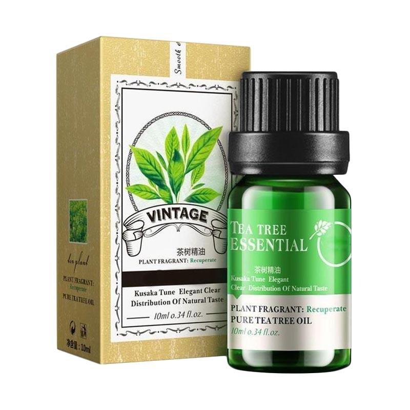 Promo Vintage Tea Plant Water Moisturizing Oil Control Essential Oil Di Seller Best China Blibli