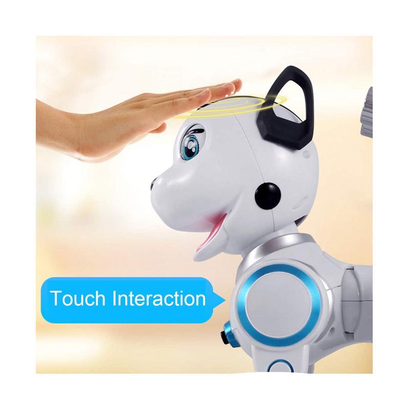 rc robot dog