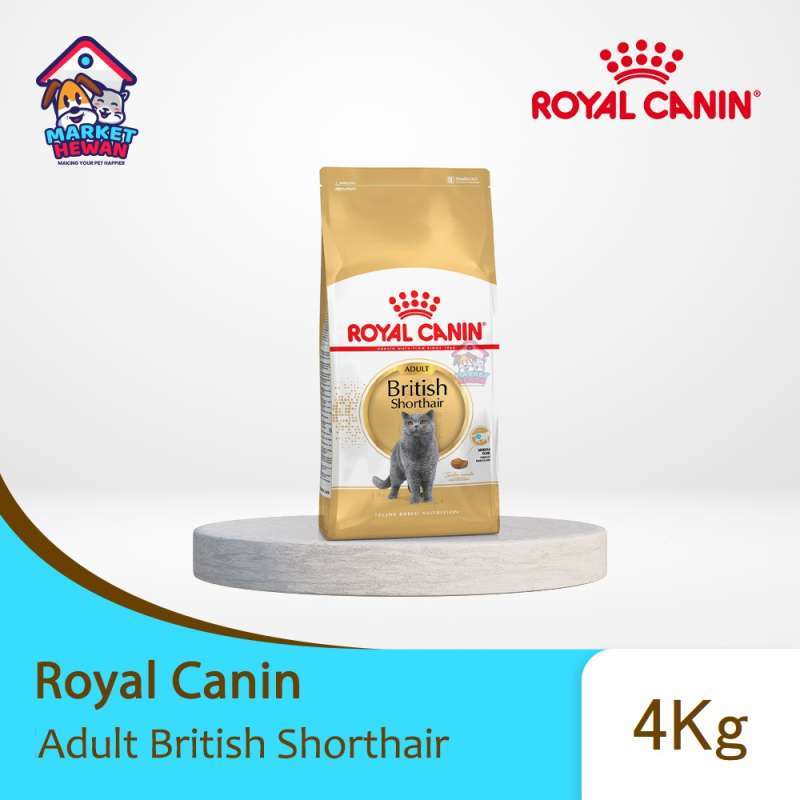 Royal canin british shorthair kitten 4kg on sale