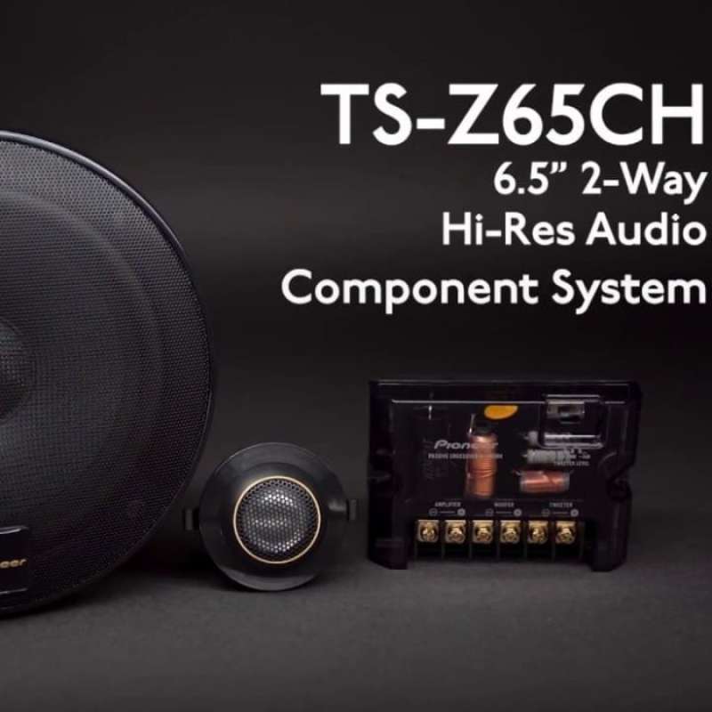Promo Speaker split TSZ65CH 2way 