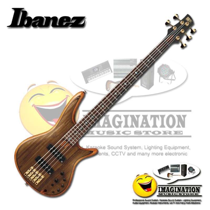 Ibanez sr1205e store
