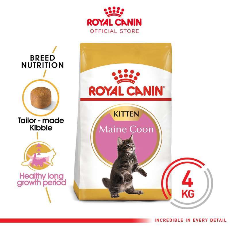 Royal canin maine coon kitten 4kg shop