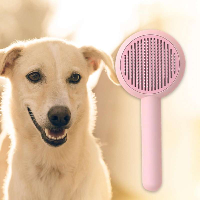 remove undercoat dog