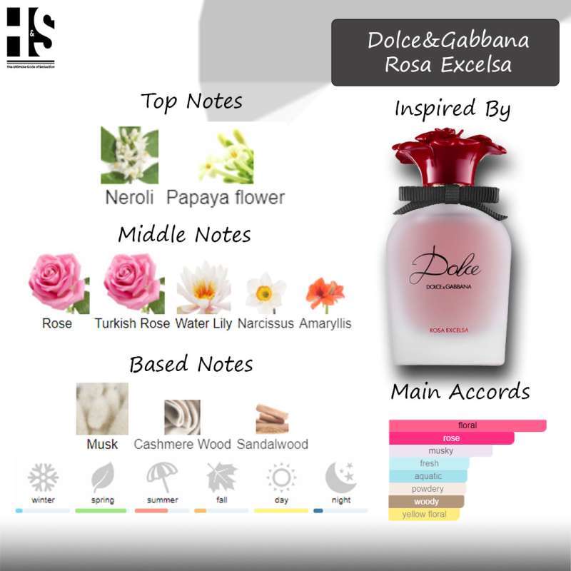 D&g new arrivals rosa excelsa
