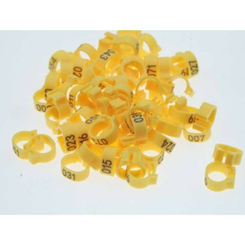 78 Gambar Bebek Ayam Burung Dara Gratis Terbaik