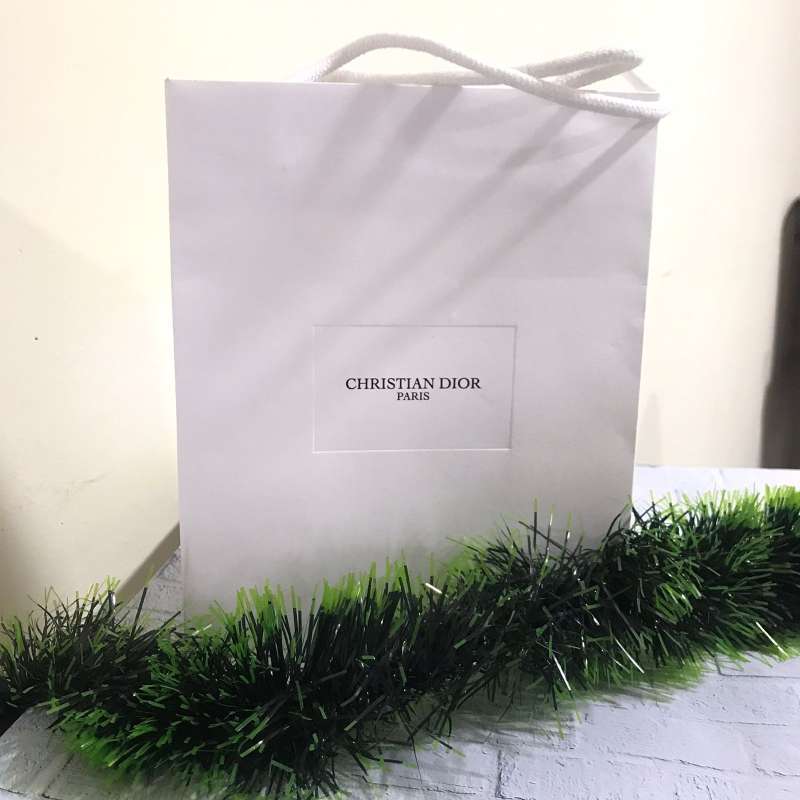 Paper bag clearance dior original