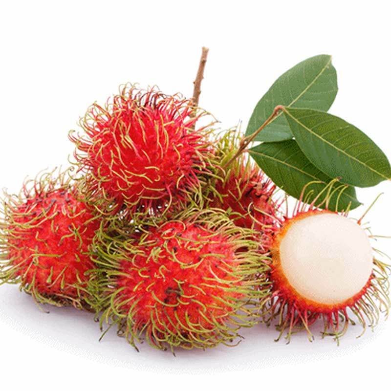 Jual DUTA BUAH PUSAT RAMBUTAN RAPIAH 1 ikat di Seller Duta Buah Official  Store - Jelambar, Kota Jakarta Barat | Blibli